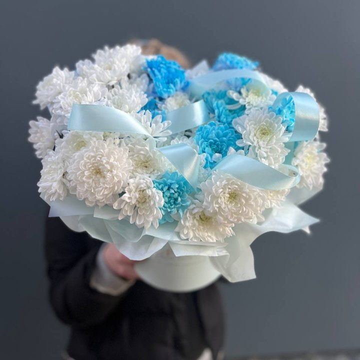 Хризнтемы в боксе в Химкие