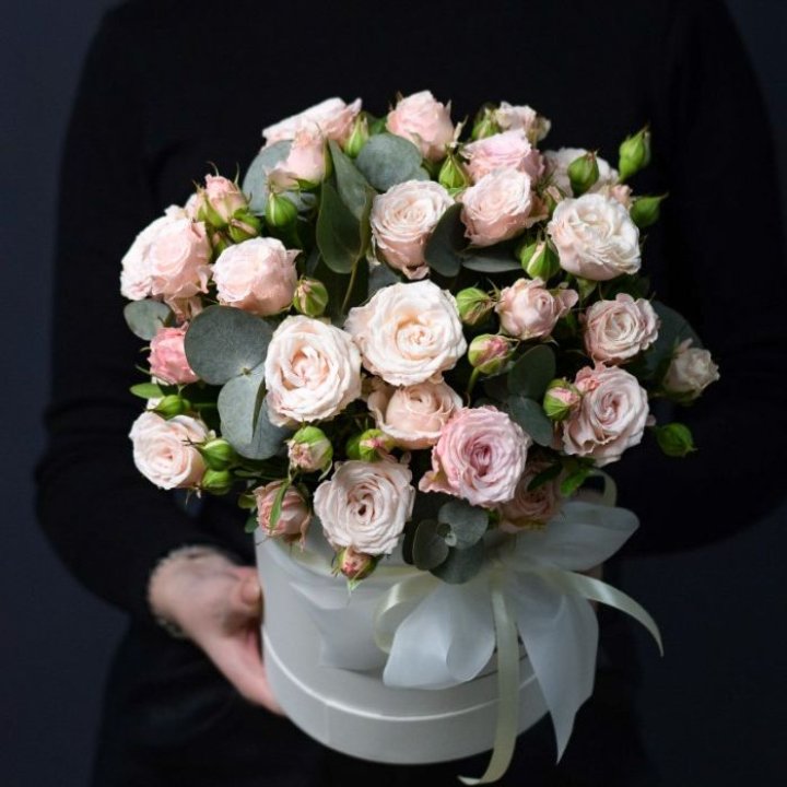 Бомбастик бокс №2 в Химкие