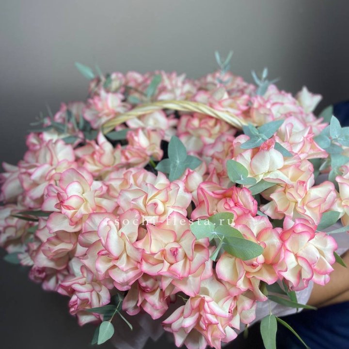 51 джумилия  в корзине   в Химкие