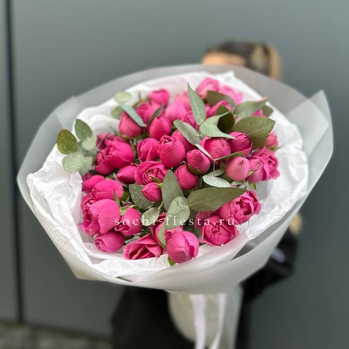 17 Мисти бабблс в Химкие