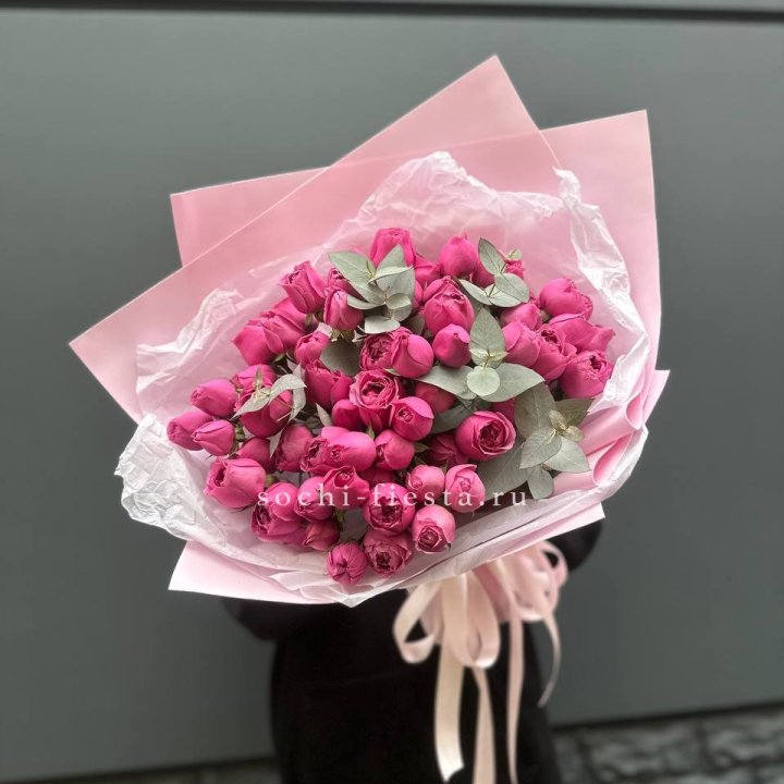 25 Мисти бабблс в Химкие