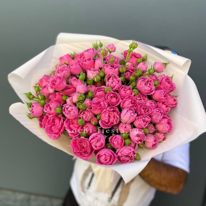 Мисти Баблс 35шт в Химкие