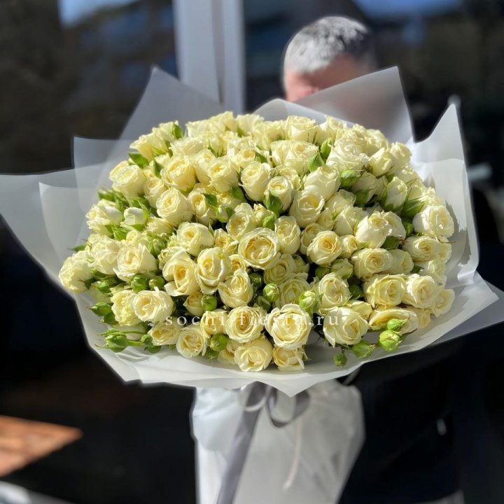 Белые кустовые розы 31 шт в Химкие