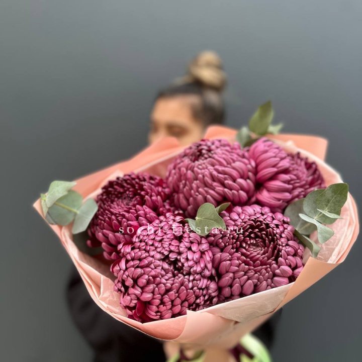 Хризантемы  Бигуди  в Химкие