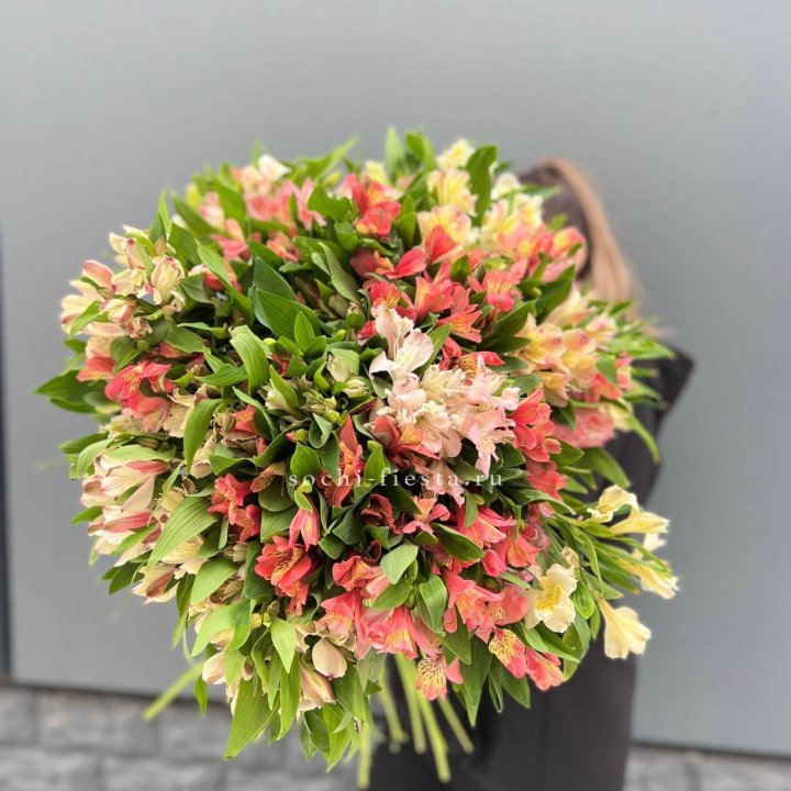 51 альстромерия в Химкие