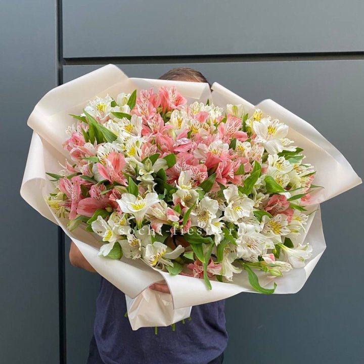 39 альстромерий в Химкие