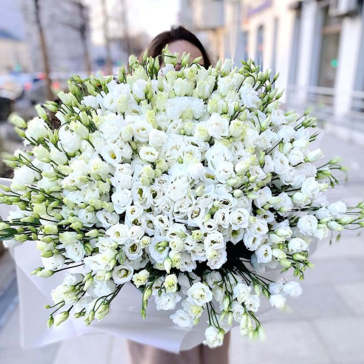 101 белая эустома в Химкие