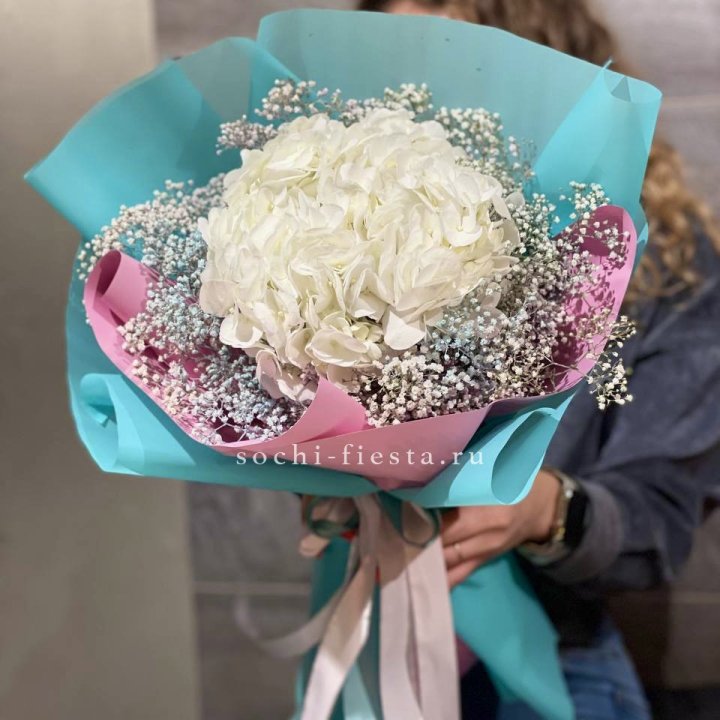 Гортензия "Райдов" в Химкие