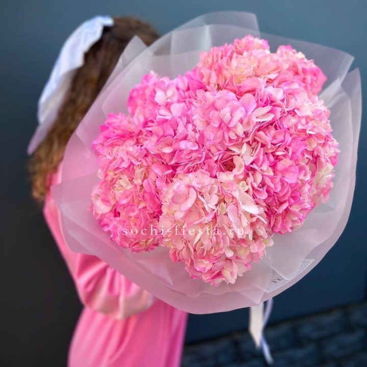 7 ярко розовых гортензий в Химкие