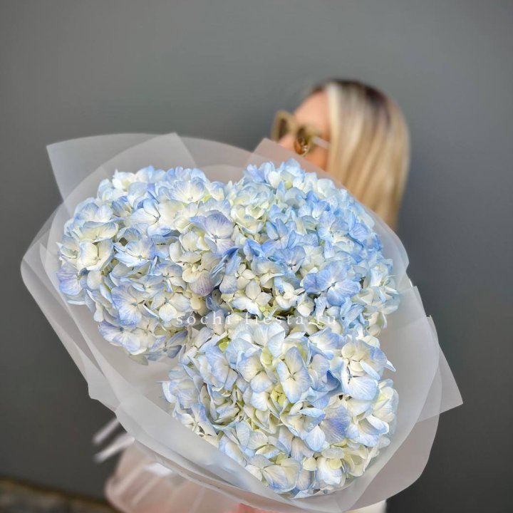 Букет из 3 голубых гортензий  в Химкие