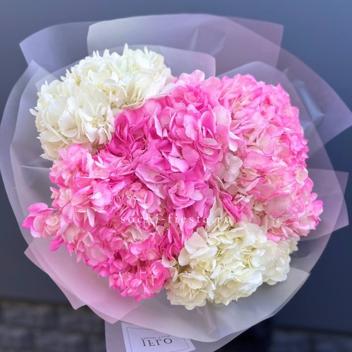 5 бело-розовых гортензий в Химкие