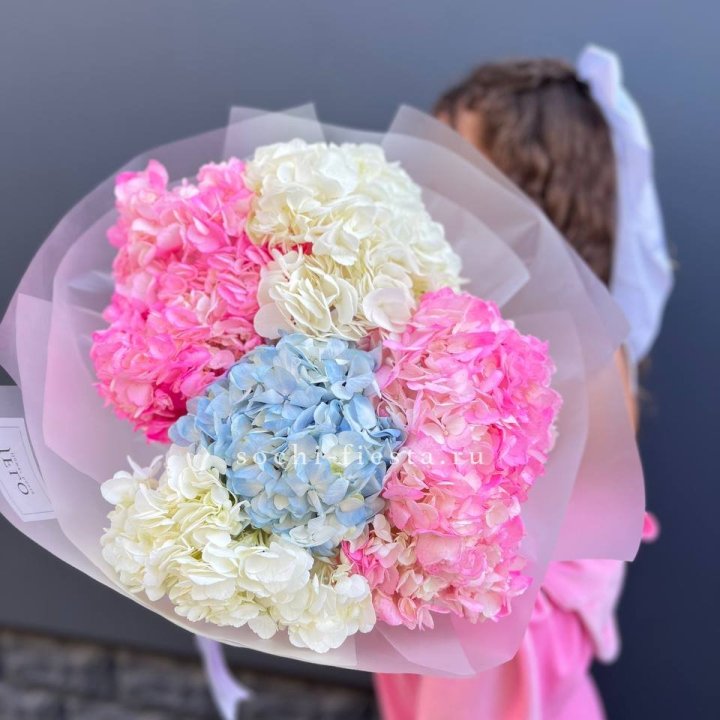 7 гортензий микс в Химкие