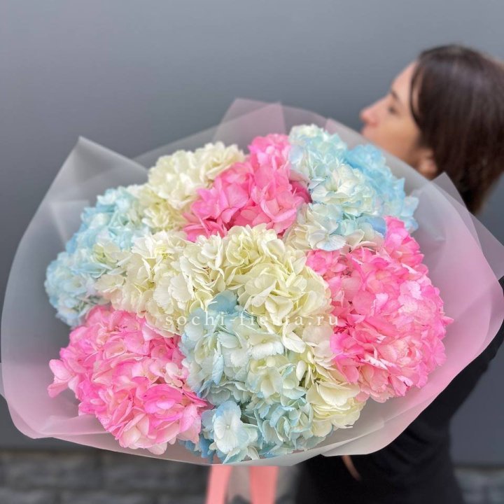 9 гортензий микс в Химкие