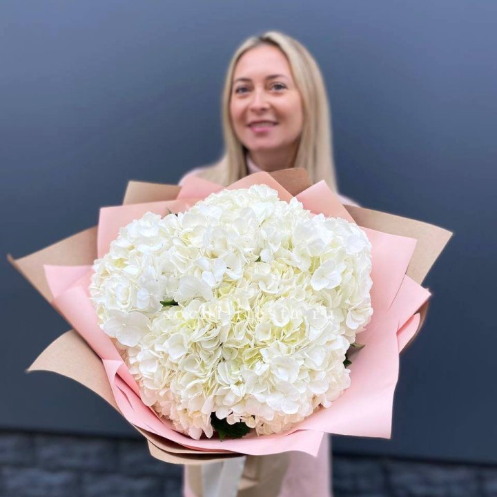 Гортензия белая в Химкие