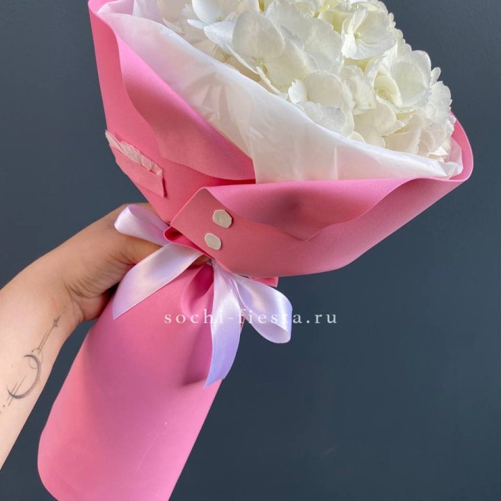 Гортензия в розовом пиджаке в Химкие