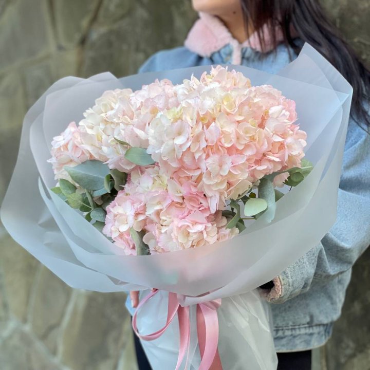 5 розовых гортензий в Химкие