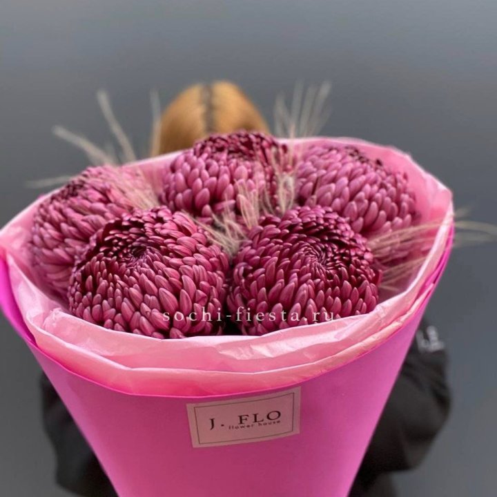 Хризантемы  Бигуди с стифой в Химкие