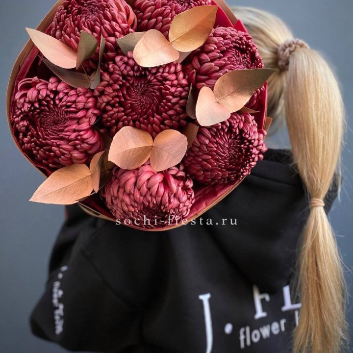 Хризантемы "Голд шоколад" в Химкие