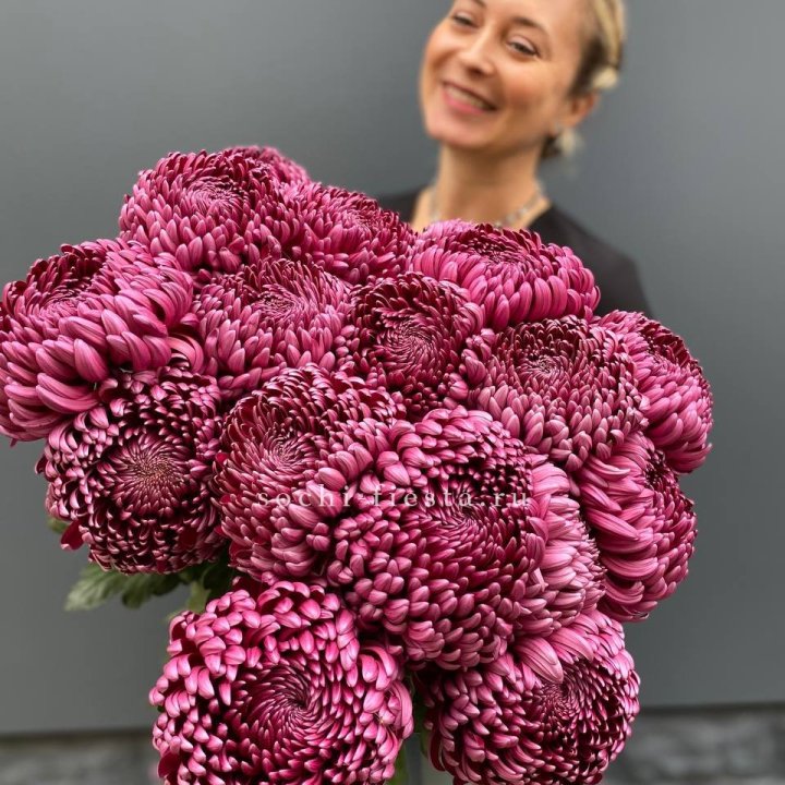 Охапка хризантем Бигуди в Химкие