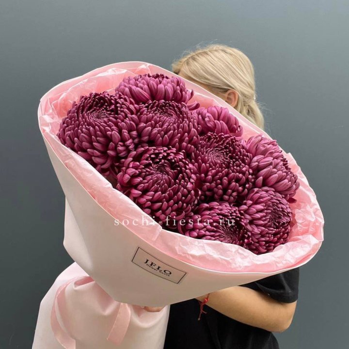 9 хризантем бигуди в Химкие