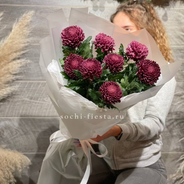 Хризантемы Бигуди в Химкие