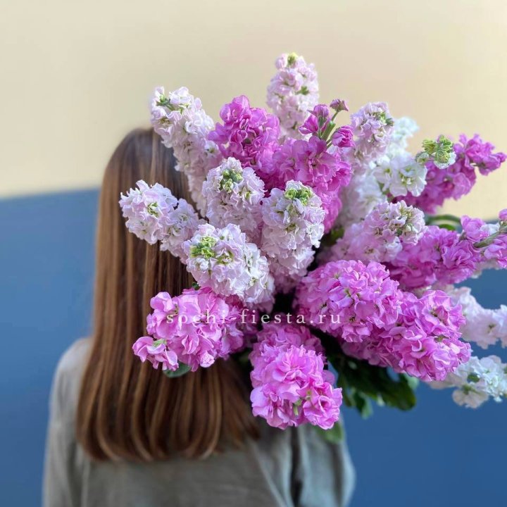 Охапка маттиолы в Химкие