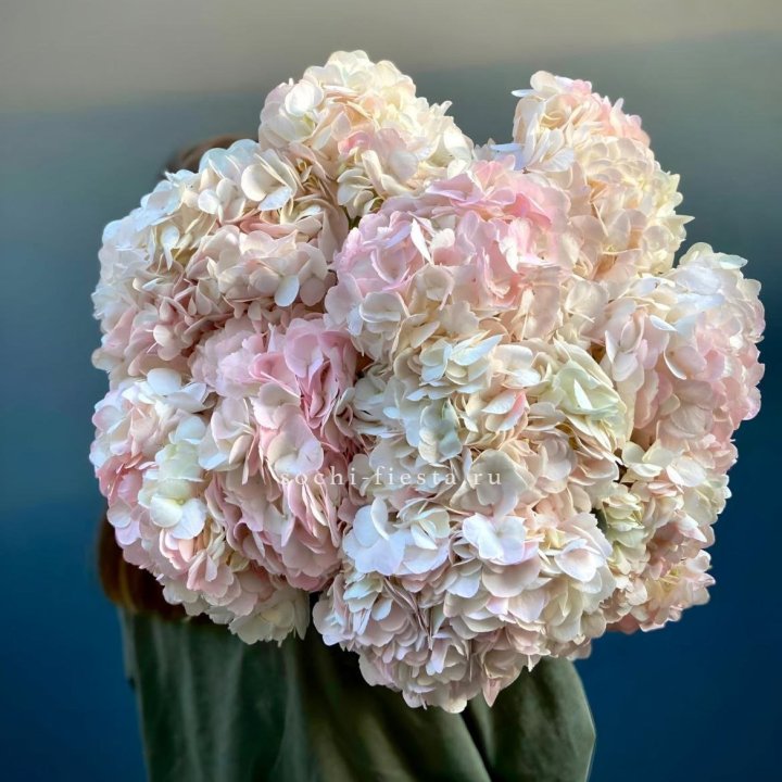 Охапка розовой гортензии в Химкие
