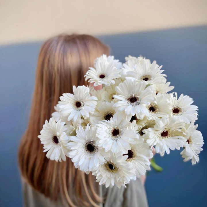 Охапка гербер в Химкие