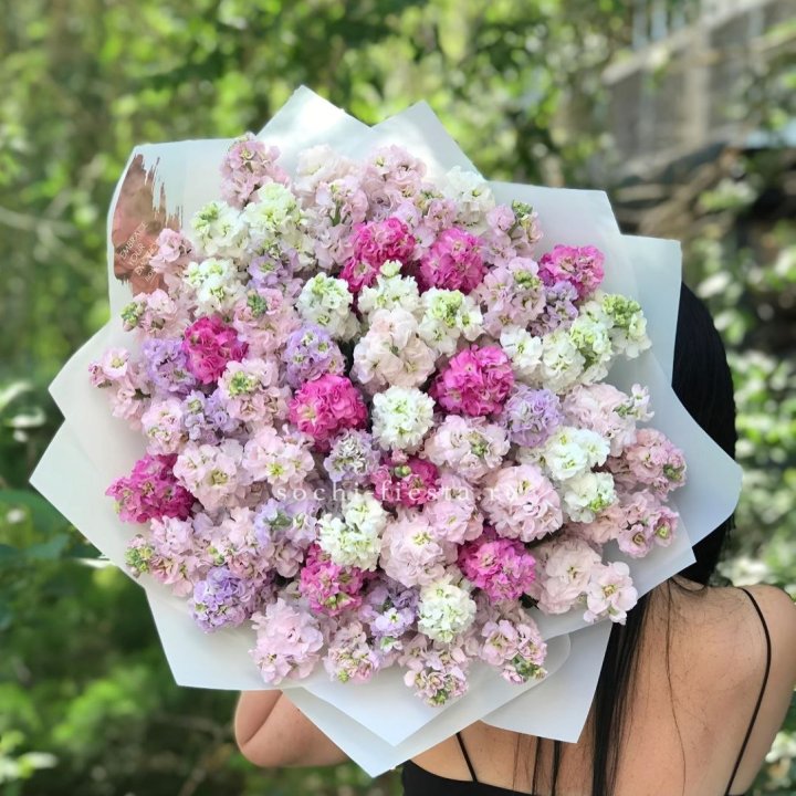 Букет ароматной маттиоллы №3 в Химкие