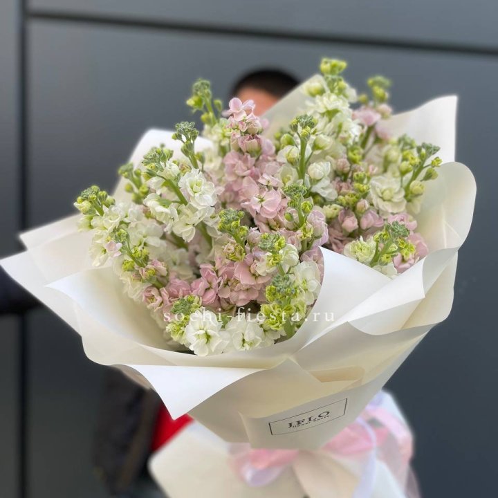 29 маттиол  в Химкие