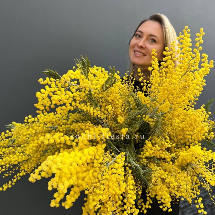 Охапка мимозы №2 в Химкие