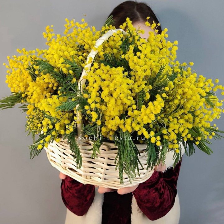 Корзина ароматной мимозы в Химкие