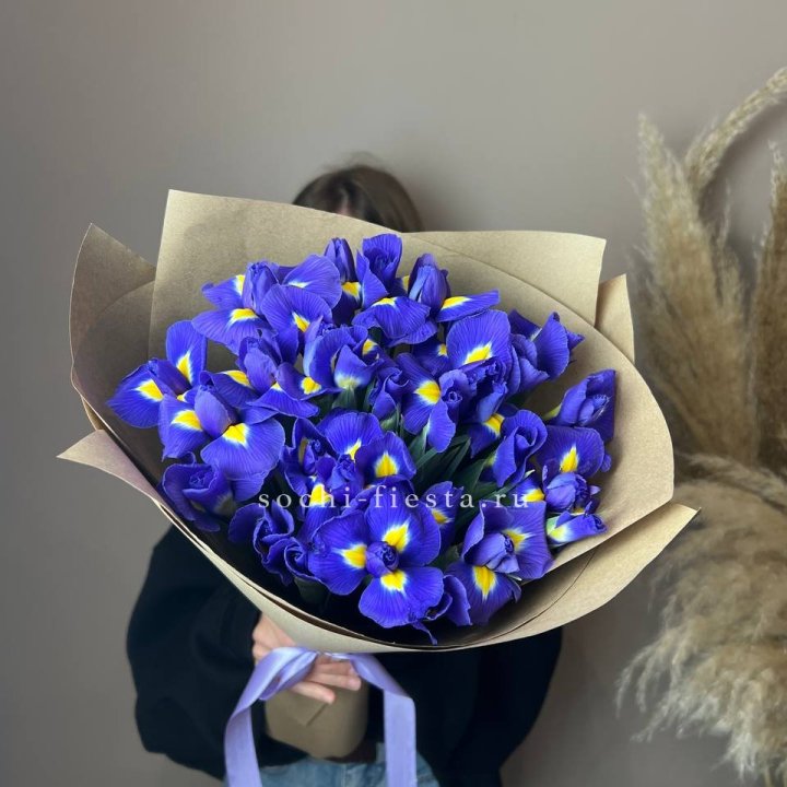 Ирисы в Химкие