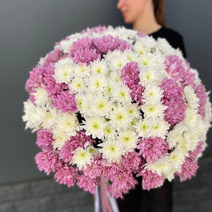  Букет 25 хризантем микс в Химкие