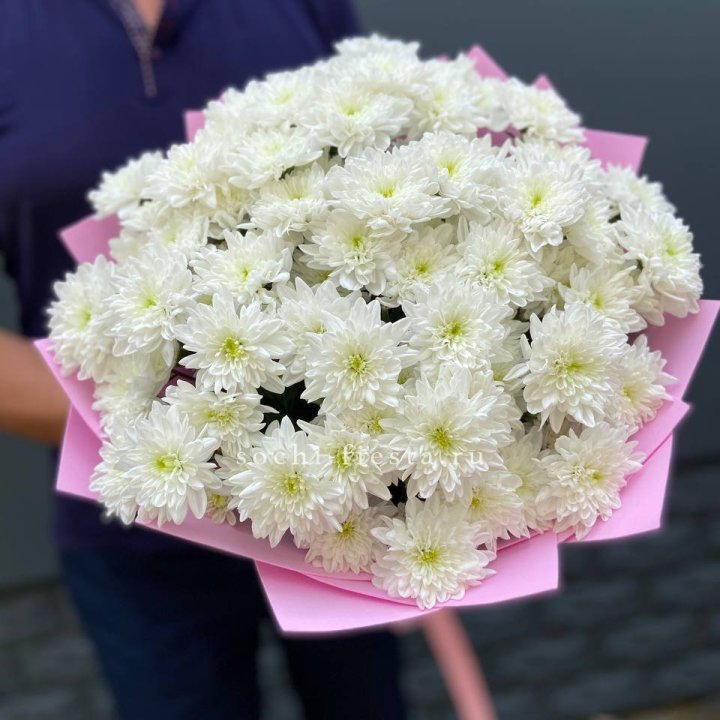  Букет 15 хризантем  в Химкие