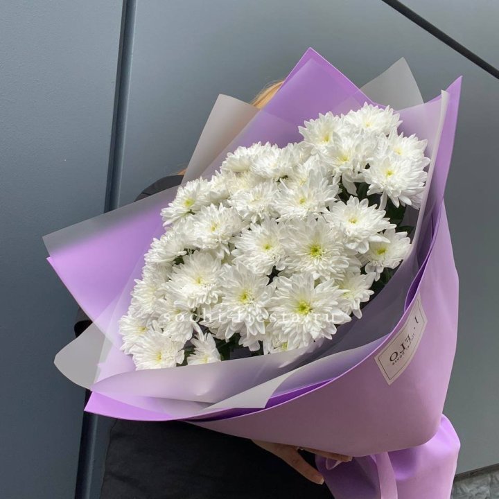  7 хризантем  в Химкие