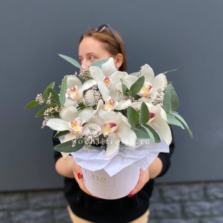 7 орхидей в боксе в Химкие