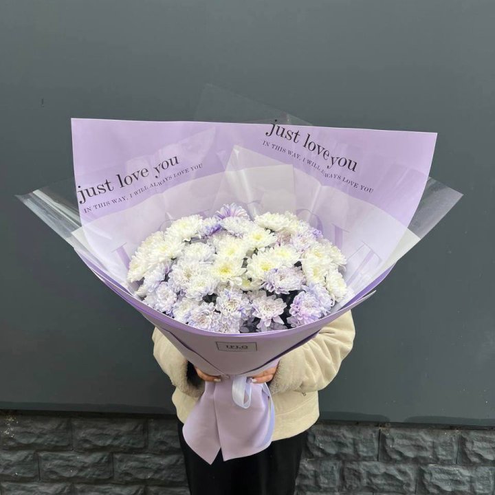 9 воздушных хризантем в Химкие