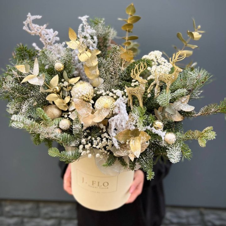 Золотой бокс с нобилисом в Химкие