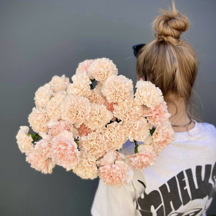 Охапка диантусов  в Химкие