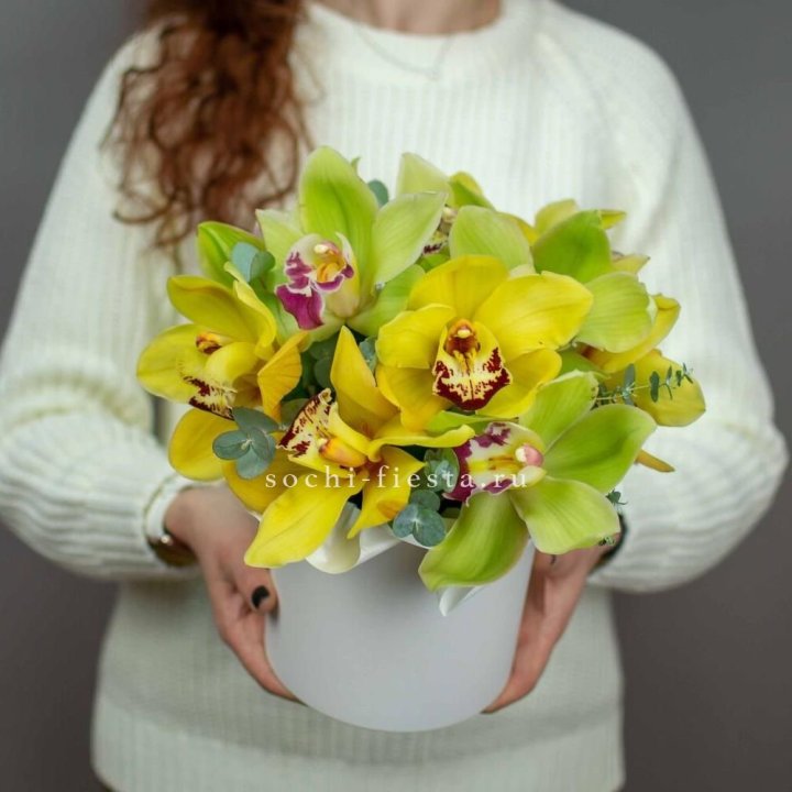 Бокс с орхидей №1 в Химкие