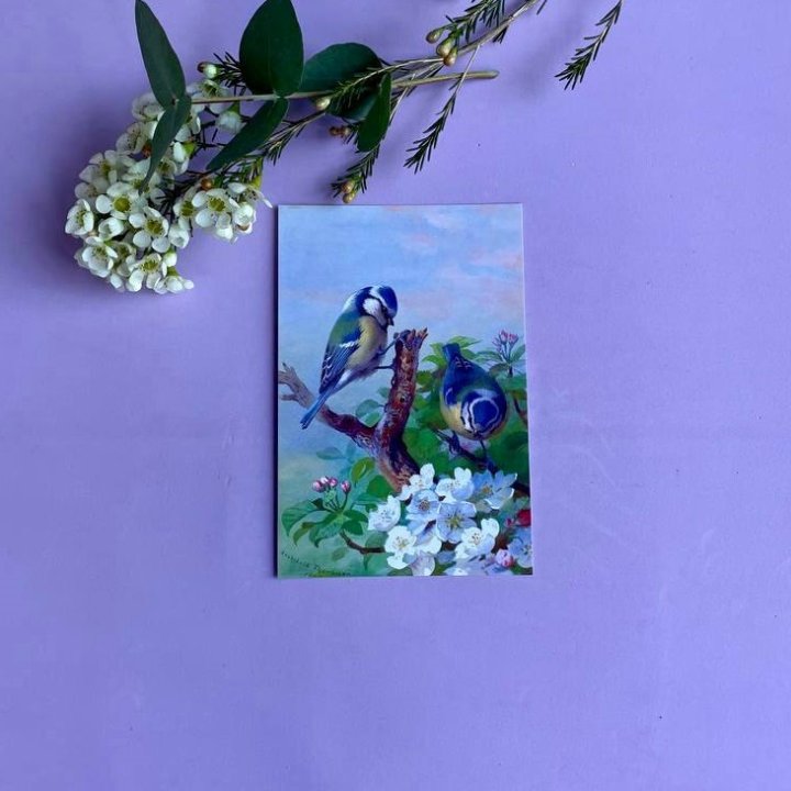 Открытка к букету "Птицы" в Химкие