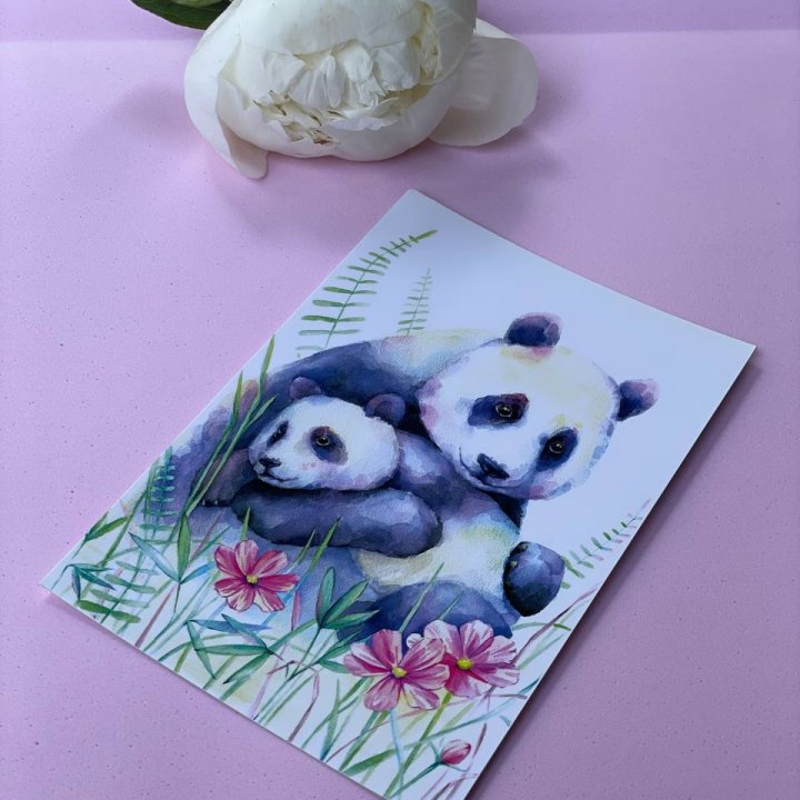 Открытка к букету "Объятие Панды" в Химкие