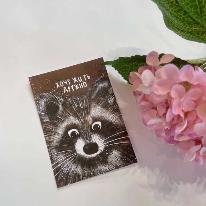 Открытка к букету "Енотик" в Химкие