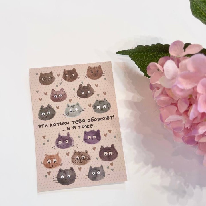 Открытка к букету "Котики" в Химкие