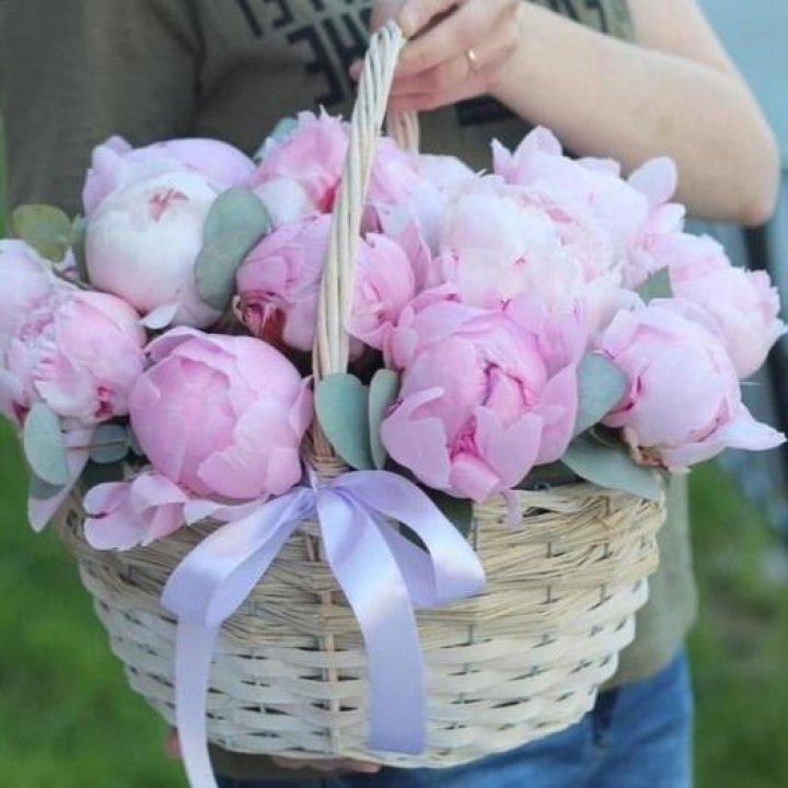 15 пионов в корзине в Химкие