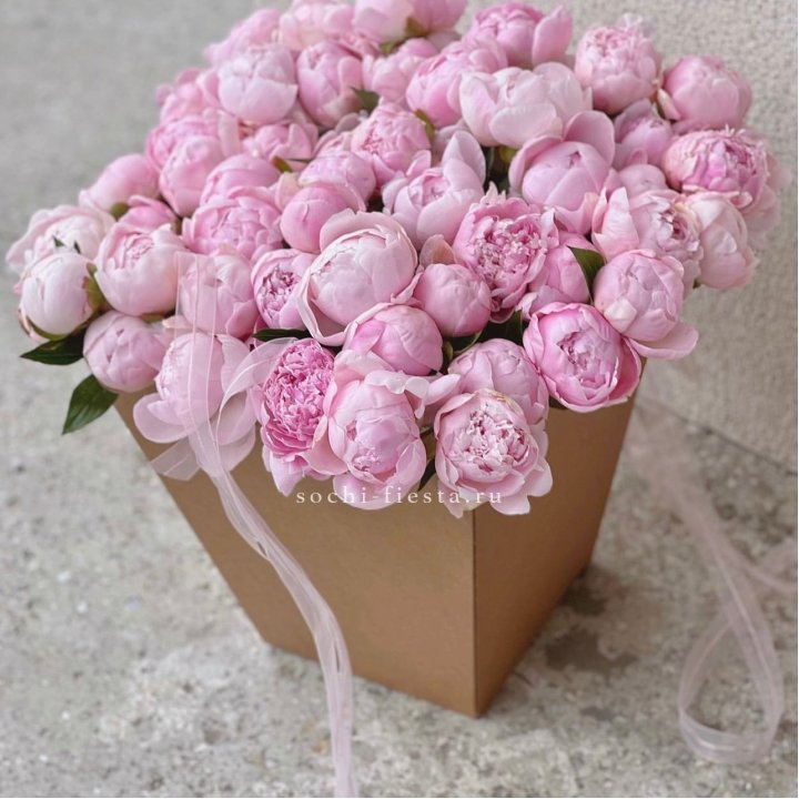 49 пионов в крафт коробке в Химкие