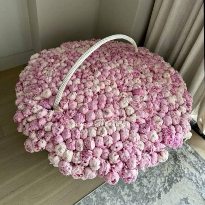 Корзина 555 пионов в Химкие