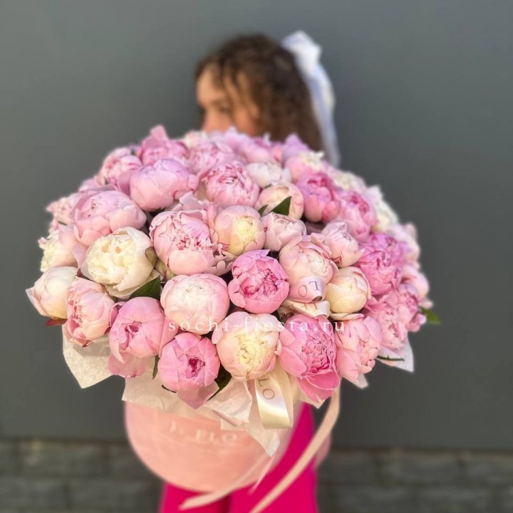 51 нежных пионов  в цилиндре в Химкие