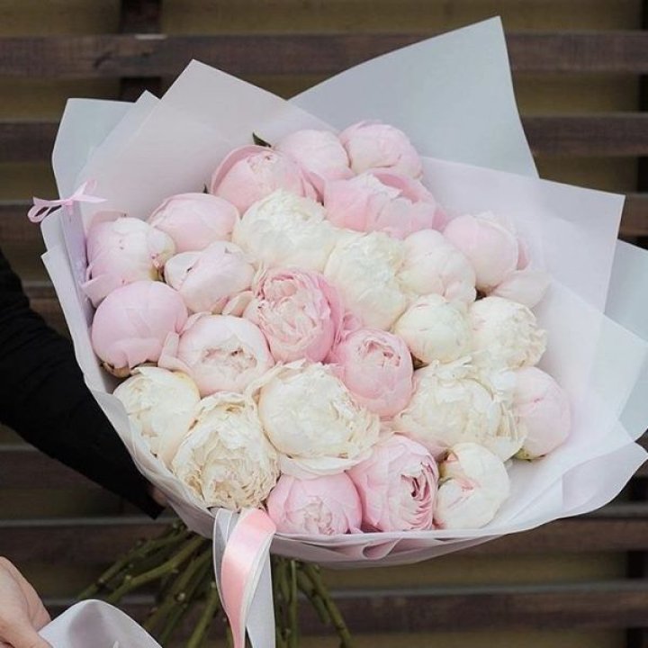 29 пионов в Химкие